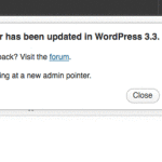 The latest feature in WordPress 3.3