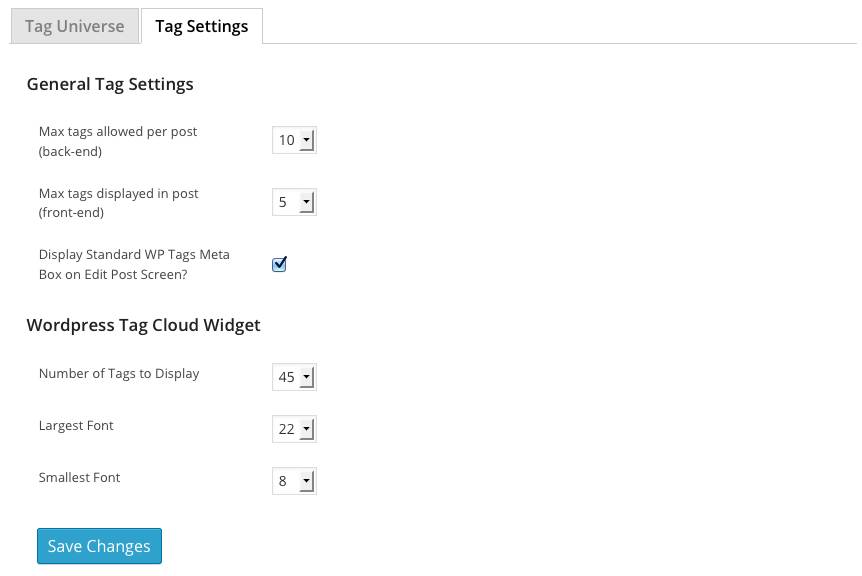 WP Tag Manager Tag Settings