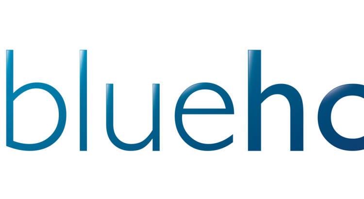 A review of Bluehost