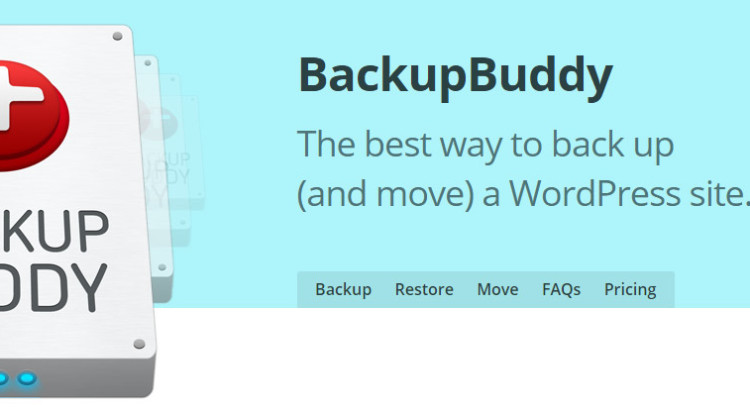 A Detailed Review of BackupBuddy