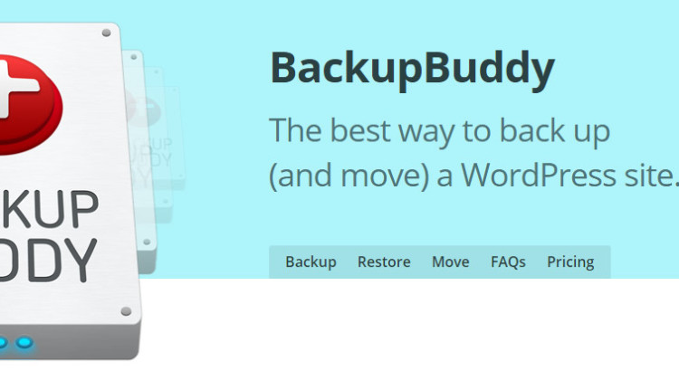 backup buddy 10